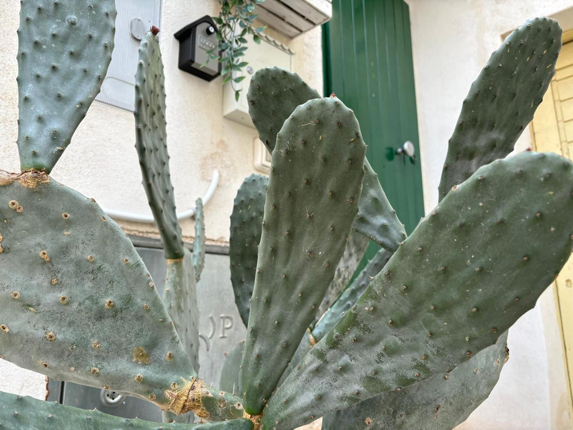 Casa Ostuni Mono Lovely Esterno foto